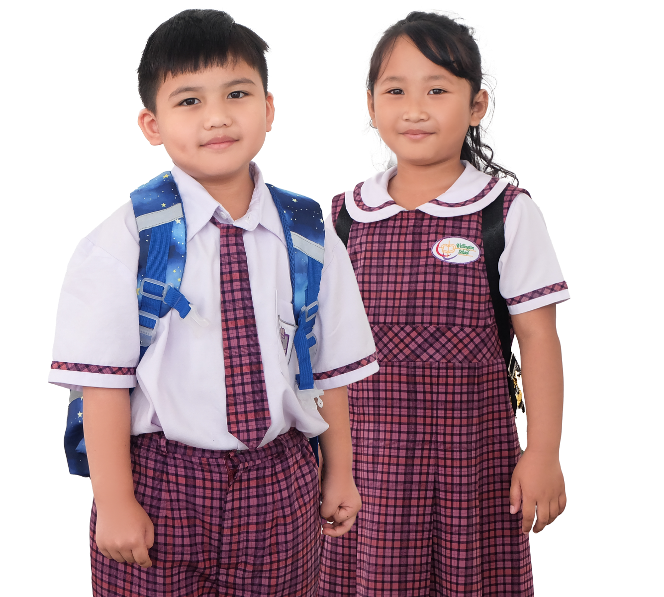 Programs Figure Hero